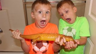 Growing Crocodile Experiment