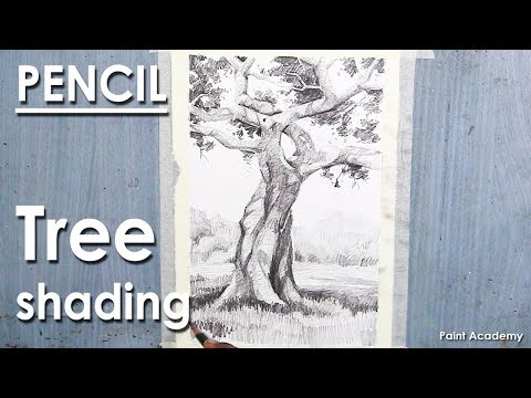 Mountains and Pine Tress Watercolor Pencil Landscape Drawing | steps to follow