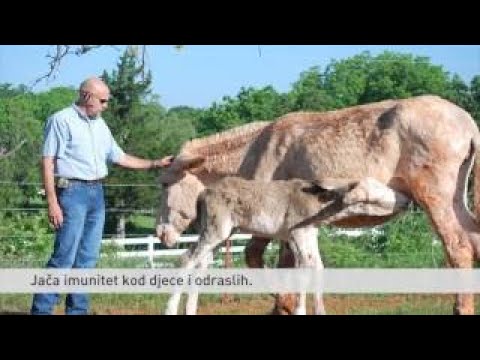 Agro Kutak 1 - Mlijeko