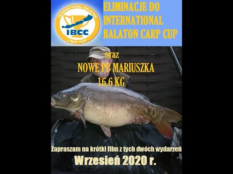 Ale Karp Fishing Team odc. 8/2020 - Eliminacje IBCC 2021 Wygonin & j. Sukiel IX-X.2020