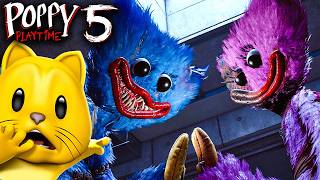 Video thumbnail image