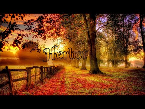 ✨Herbst: 4K✨