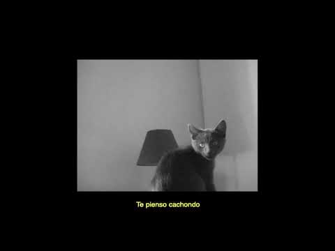 Xavibo, Babi, Elhombreviento - Tregua