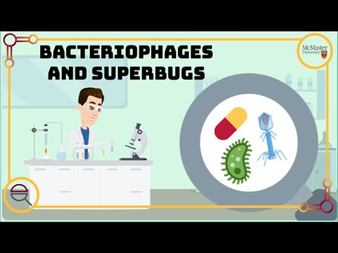 Bacteriophages - Deadly Virus, or Superbug Solution?