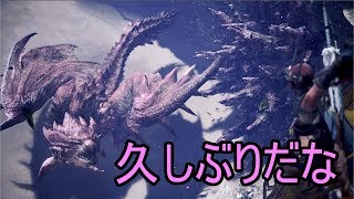 個人的にくそ久しぶりのヤツ【MHW#16】