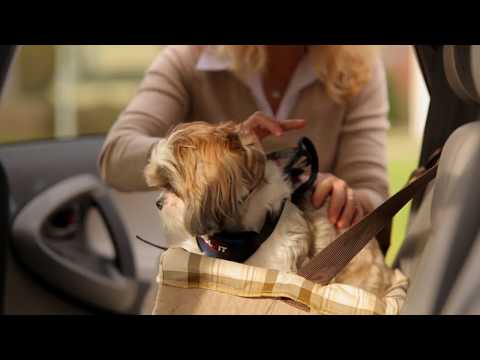 Petsafe On Seat Booster Deluxe saugi autokėdutė šunims video
