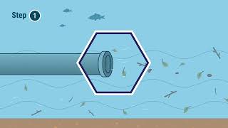 Willamette Water Supply Program Animated Treatment Video