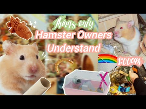 Things Only Hamster Owners Understand! - The Reality of Owning a Hamster 🐹🍄🌿