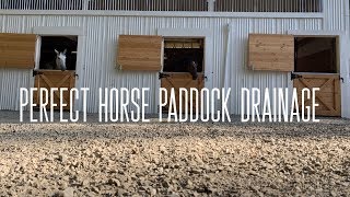 How to Have Perfect Horse Paddock Drainage