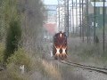 A M 52 And The KCS 2004 2803 2830 Part 1