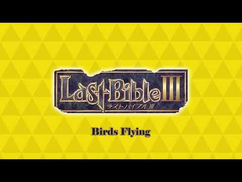 Birds Flying - Last Bible III