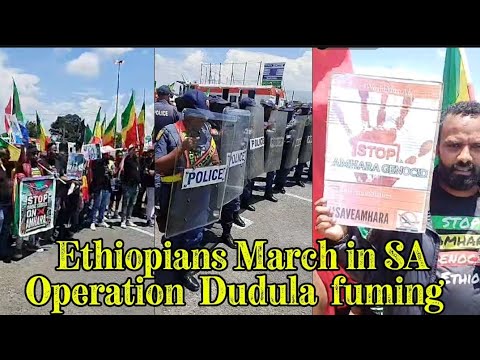 Ethiopians toyi toyi at the G20 summit to their president 😲