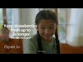 Ziploc Strawberries Designed To Save You 170 2023 Commercial