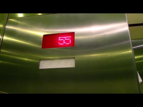 download lagu mp3 mp4 Miami Elevator, download lagu Miami Elevator gratis, unduh video klip Miami Elevator