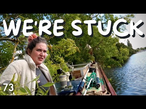Crushed into a tree | Narrowboat gets battered by the wind - 73
