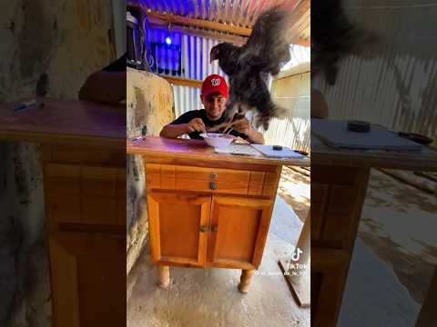 xd créditos a @TeamvideosFamily