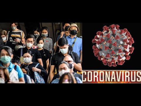 Mary Mallon Spreads Typhoid Across New York City - Drunk History