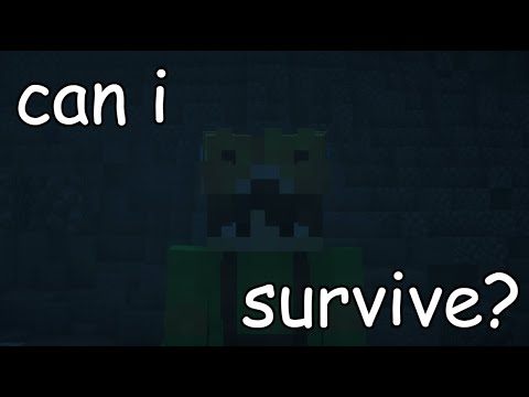 Can I Survive A Minecraft Anarchy Server?