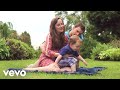 Fivety Download Audio Mp3 and Mp4