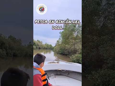 PESCA EN RINCÓN DEL DOLL. Amigos de Seguí