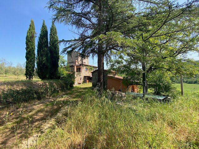 CD1029 home in an authentic farmhouse in the midst of nature