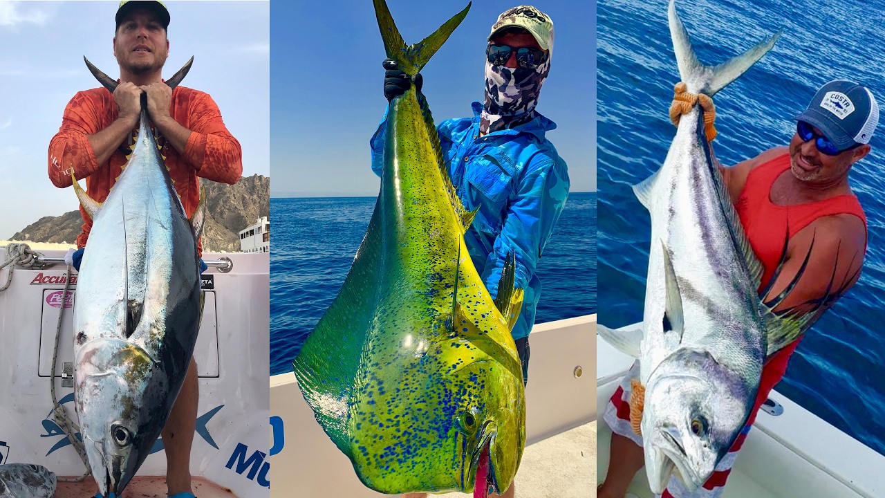 Hamachi Travel Rods for the Extreme Angler