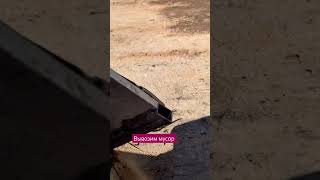 Жизнь флиппера в Германии, вывоз мусора . Спасибо за подписку ❤️