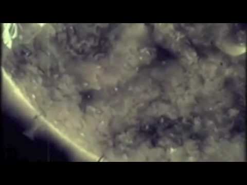 Mark Heaney - Ten Thousand Suns