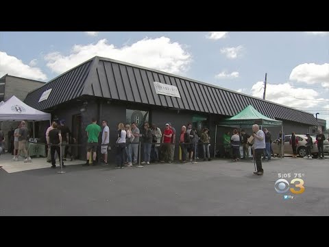 Medical Marijuana Dispensary Opens Doors For First Time In Delaware County Video