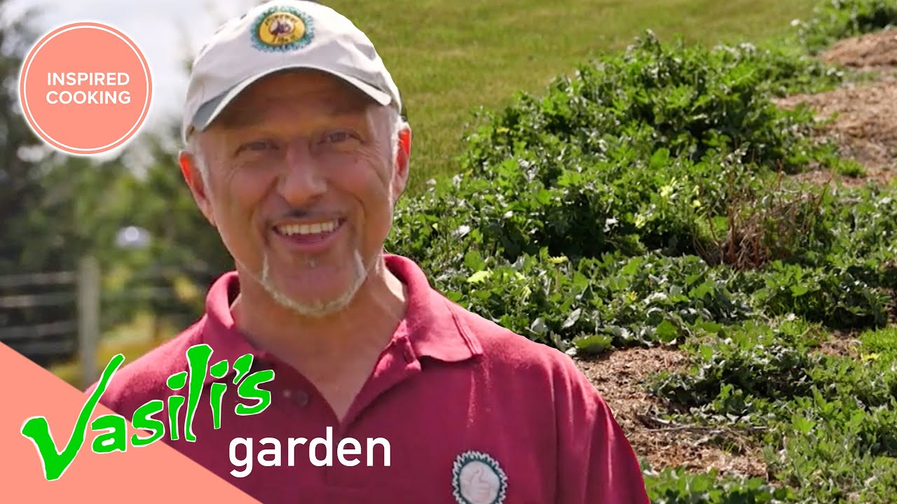 How To Prepare A Garden With Vasili Kanidiadis | Full Episode | Vasili's Garden