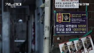 [지느러미] 메인 예고편