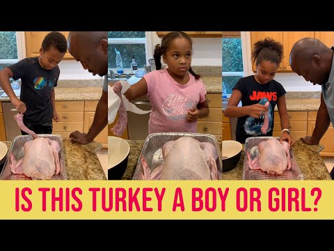 Is this turkey a boy or girl? | Tricking my kids with a turkey neck
