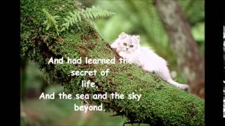 The Kinks - Phenomenal Cat (with lyrics )