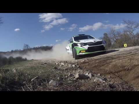 Max Rendina test Skoda Fabia R5 Motorsport Italia