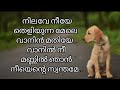 Nilave Neeye Charlie777 Lyrics Whatsappstatus Malayalam Music Ytshorts Songs Love