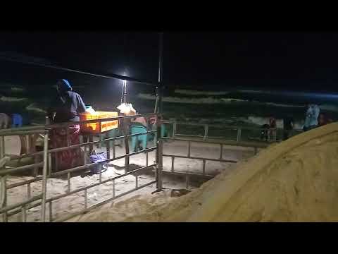 Gopalpur sea beach utkal divas