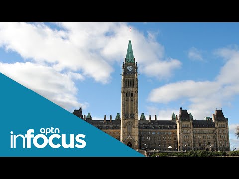 Indigenous politicians talk about life in the colonial spotlight on InFocus | InFocus