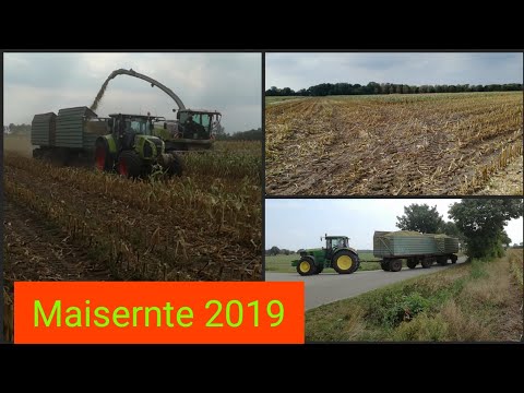Maisernte 2019 mit Claas Jaguar 940 Teil 1