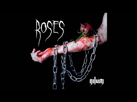 NILUM - Roses (Official Lyrics Video)