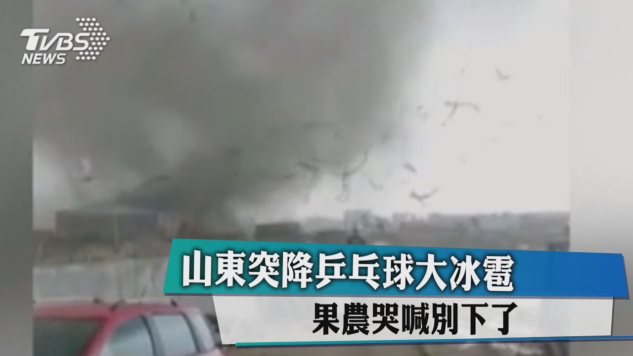 山東突降乒乓球大冰雹　果農哭喊別下了
