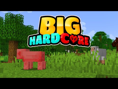 GIORNO 1 - INIZIAMO DALL'INIZIO - BIG HARDCORE