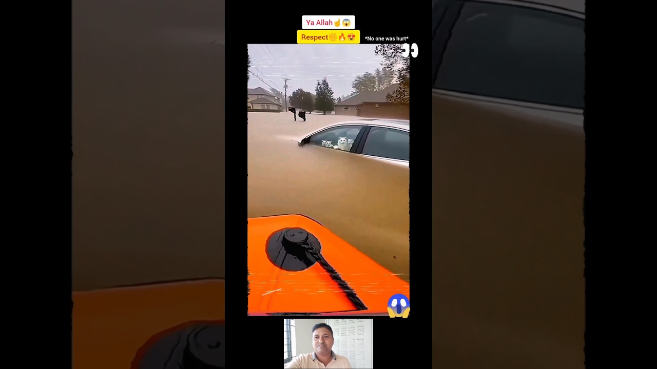 MashAllah ☝️😇 Respect 😍 #allah #shorts #status #respect