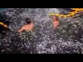 Morski Hr Dobri Ribari Skočili Među Svoje Mreže Da Bi Spasili Dobrog Dupina