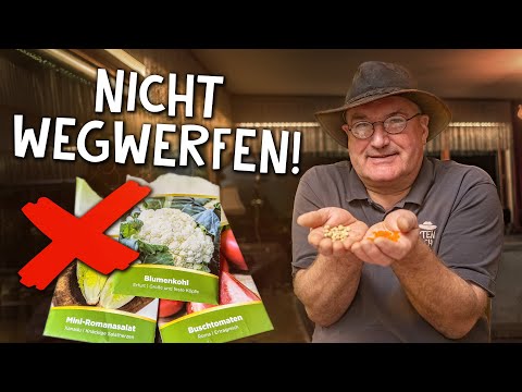 So bleibt dein Saatgut keimfähig! - Saatgut richtig lagern