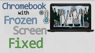 Chromebook with Frozen Screen | Fixed