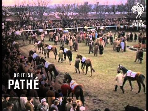 Selected Originals - Grand National - Technicolor (1963)