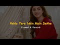 Tere Bina Na Guzara Ae Pehla Tere Nain Main Dekhe Slowed And Reverb Josh Brar