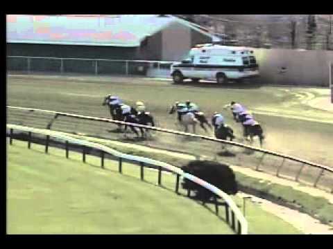 Pimlico 04/10/14 race 8