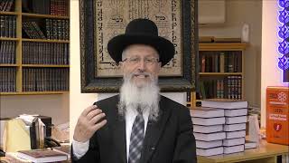 הרב הגאון אברהם יוסף שליט"א לעולם ילמד אדם את לשונו לומר אינו יודע פרשת שמיני תשפ"ה (הערוץ של הרב אברהם יוסף) - התמונה מוצגת ישירות מתוך אתר האינטרנט יוטיוב. זכויות היוצרים בתמונה שייכות ליוצרה. קישור קרדיט למקור התוכן נמצא בתוך דף הסרטון