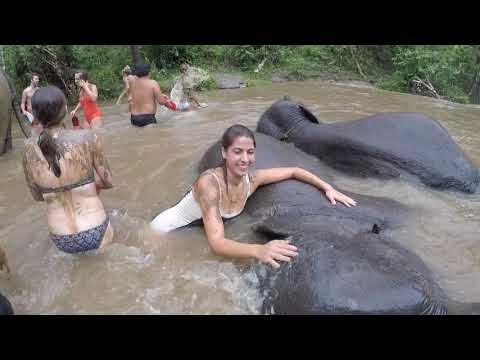 Chiang Mai Elephant Sanctuary